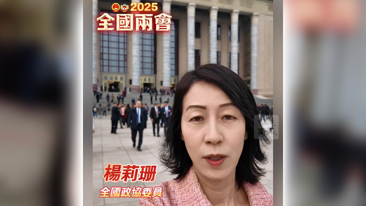 有片 | 【兩會莉影】積極建言獻策