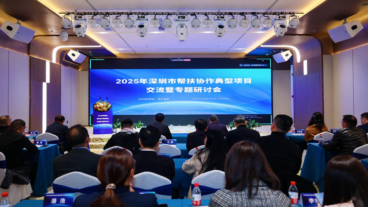 2025年深圳市幫扶協作典型項目交流暨專題研討會召開
