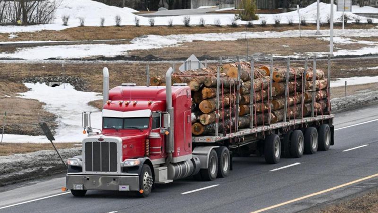 特朗普：可能對加拿大奶製品和木材徵收對等關稅