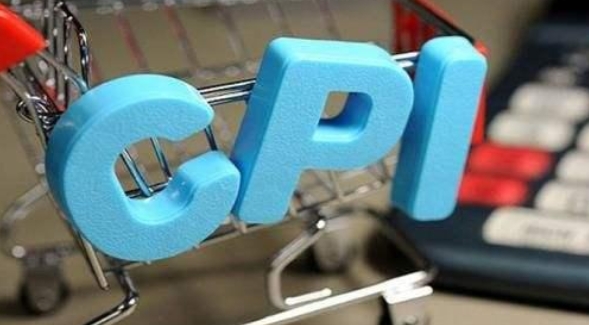 國家統計局城市司首席統計師董莉娟解讀2025年2月份CPI和PPI數據