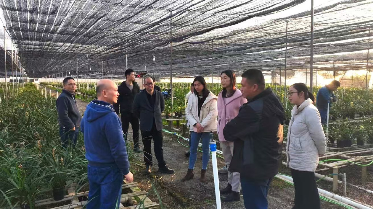 弘揚國蘭文化 助力產業振興——廣東韶關重陽鎮開展蘭花種植技能培訓