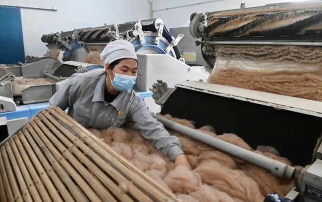 新疆玉泰駝絨提升企業品牌影響力 做研發、提品質