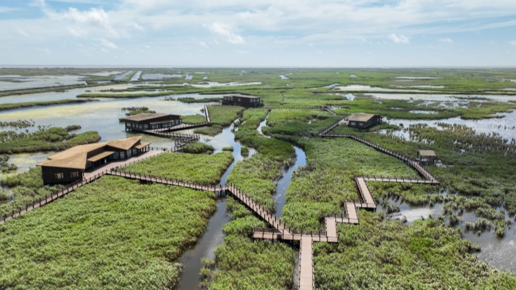 李峻：崇明生態立島擘畫發展新圖景