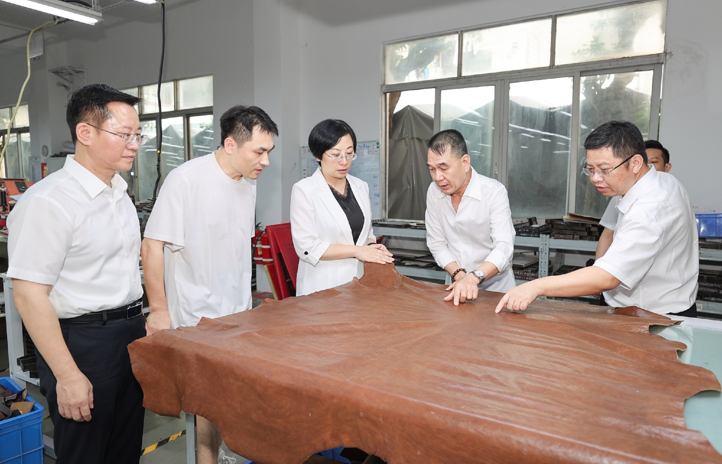 桂容縣：開展招商引資攻堅年為高質量發展蓄勢賦能