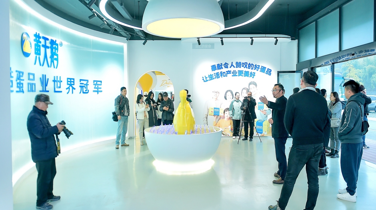 有片︱2025「四季看川」台灣自媒體人天府遊記走進鹽亭