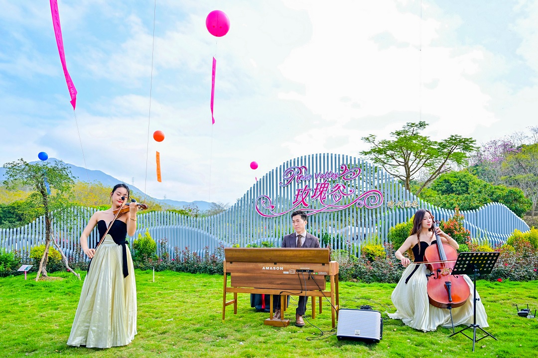 春風有信花有期 東莞清溪第十四屆賞花行燦爛啟幕