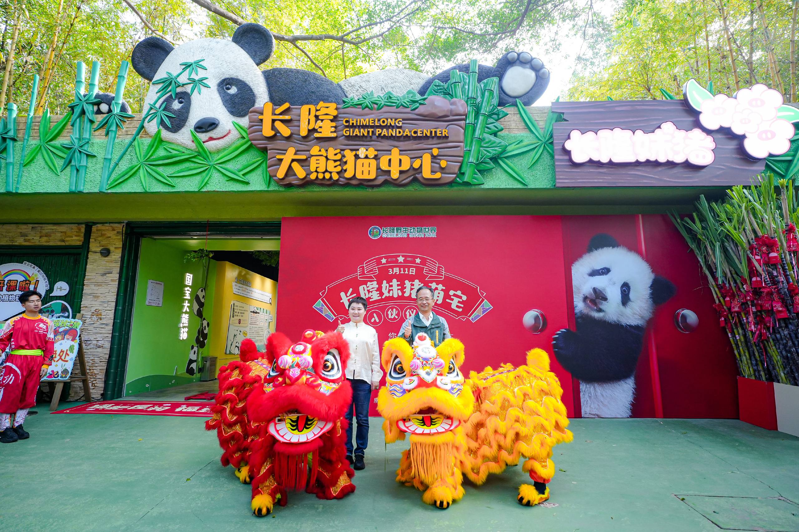 廣府千金大熊貓「妹豬」喜提新居