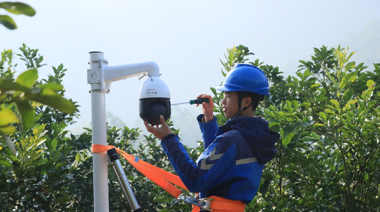 桂容縣：「智賦柚業」擘好產業振興新畫卷