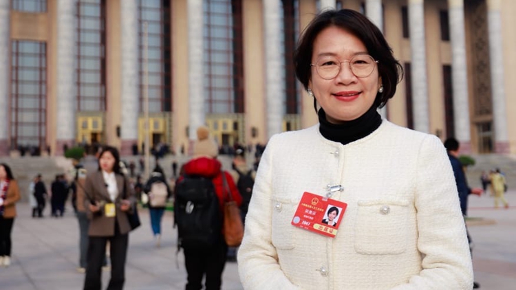 全國兩會｜梁美芬：須發揮香港自身優勢 協助國家對外建立更多民間友誼