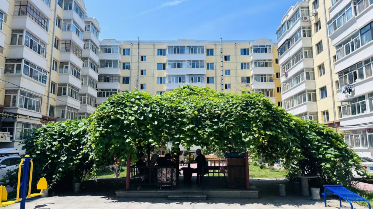 哈市香坊區紅旗街道：加強老舊小區專業化管理 從「無人管」到「有人理」