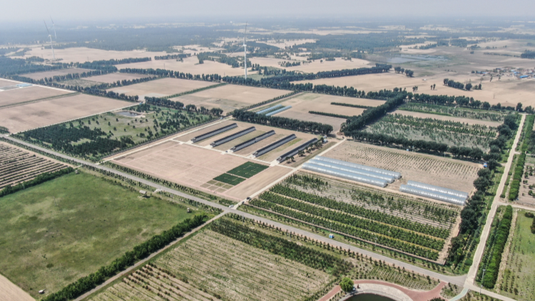 森林覆蓋率超25% 中國成為全球增綠最快最多的國家