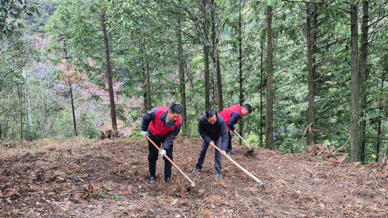 皖黟縣柯村鎮：共建美麗三合 共享生態福祉