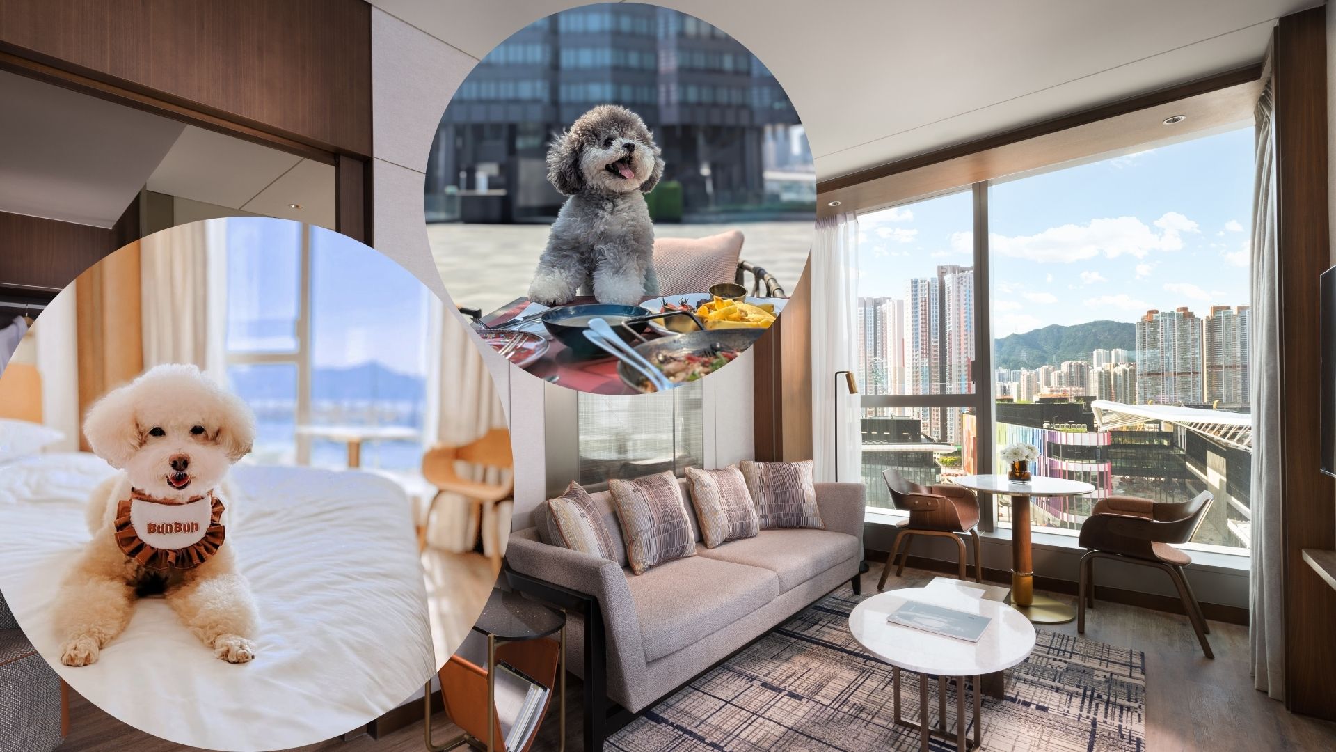 【玩樂】寵物友善酒店住宿優惠 與愛寵共度愉快假期