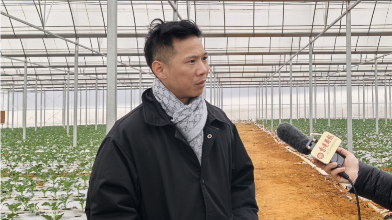 年產值3500萬元 港商赴桂當「菜農」