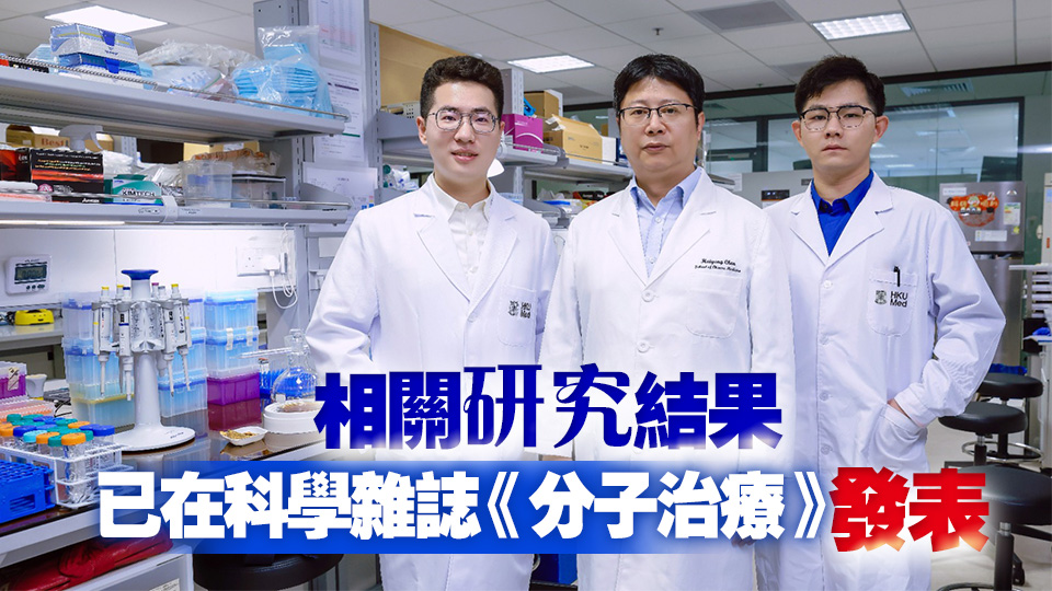 港大醫學院發現糖尿病腎臟病變發炎機制 可望為患者提供新治療方向