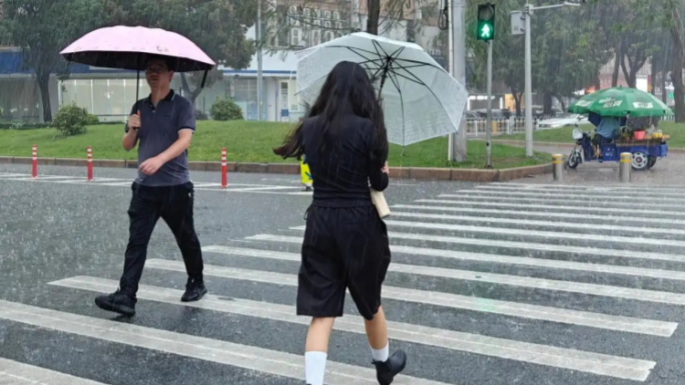 廣東部署近期全省強降雨防禦工作