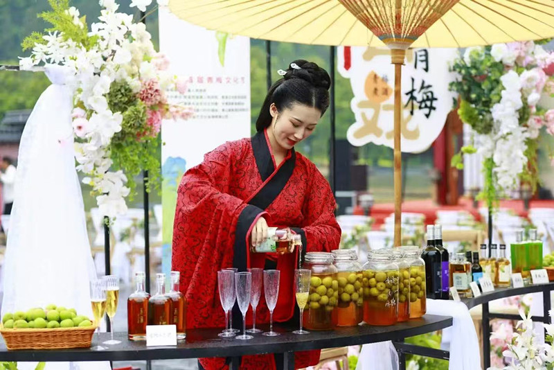 皖黟縣西遞鎮：以梅為「媒」力促農文旅融合發展