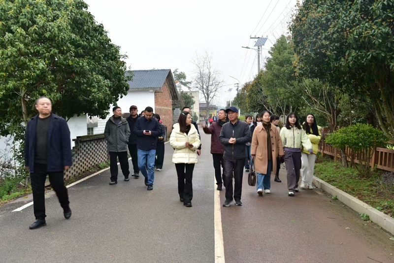 湖南省長株潭一體化發展事務中心調研鵝洲島鄉村振興項目