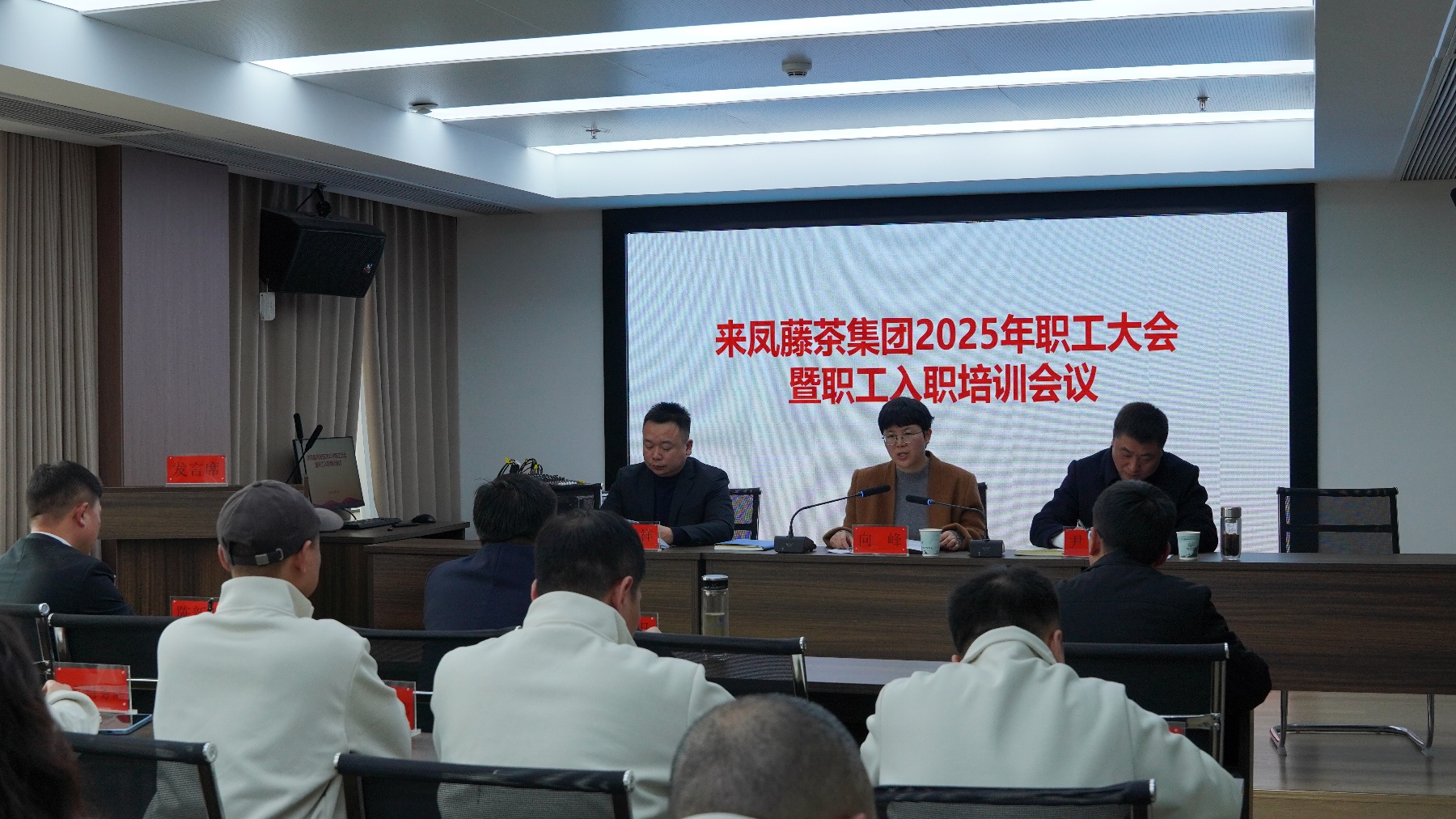 凝「新」聚力 來鳳藤茶集團推動藤茶產業高質量發展