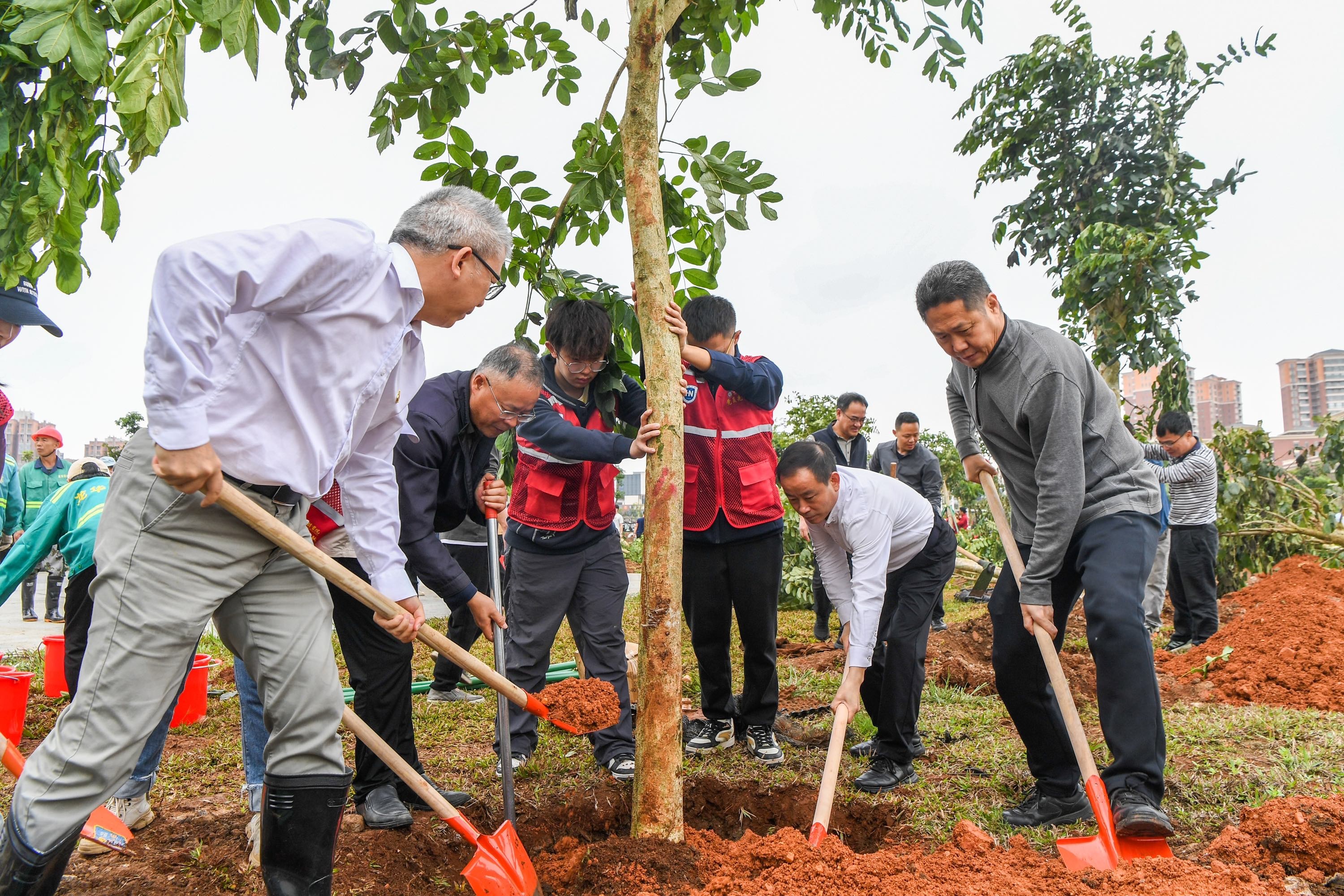 海口市龍華區組織開展2025年義務植樹活動