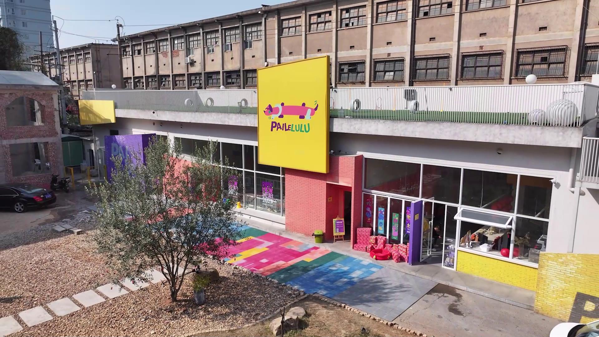 《在長沙 都實現》第十九集：「寵」出新花YOUNG！從養寵人到養寵創業人