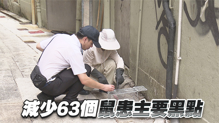 食環署去年檢獲近12.3萬隻活鼠及死鼠 按年増加26%