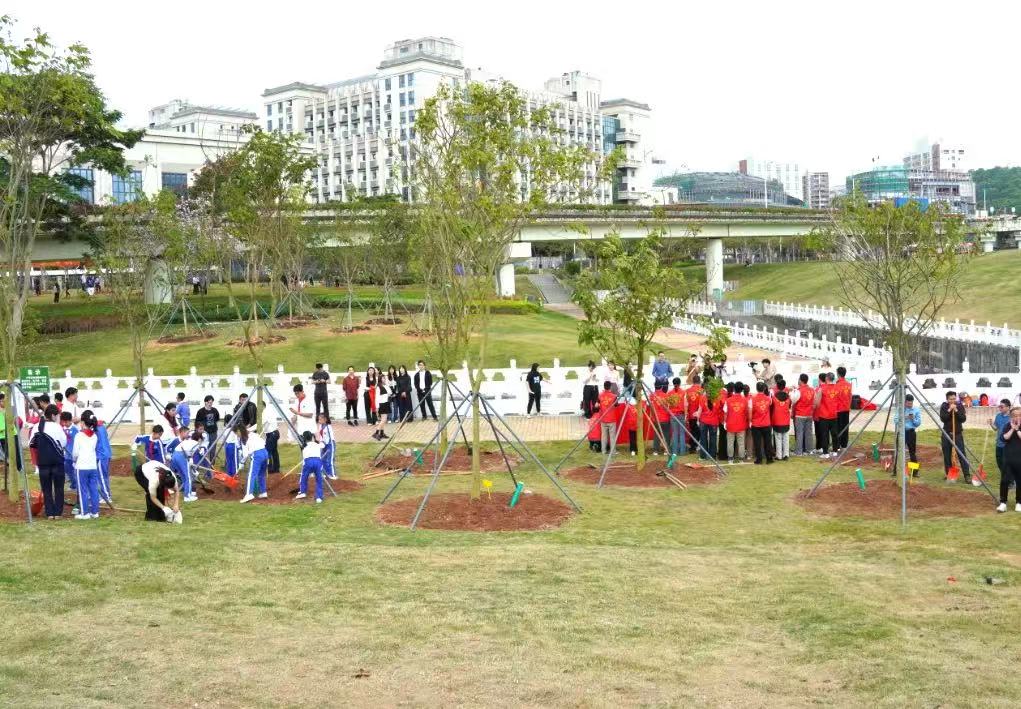 深圳龍崗開展「綠美全運」植樹行動 打造生態宜居典範城區