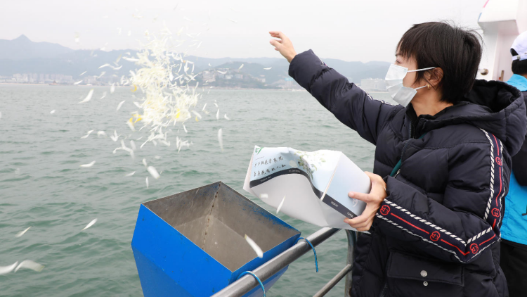 1150具骨灰撒海，深圳舉行第51次海葬