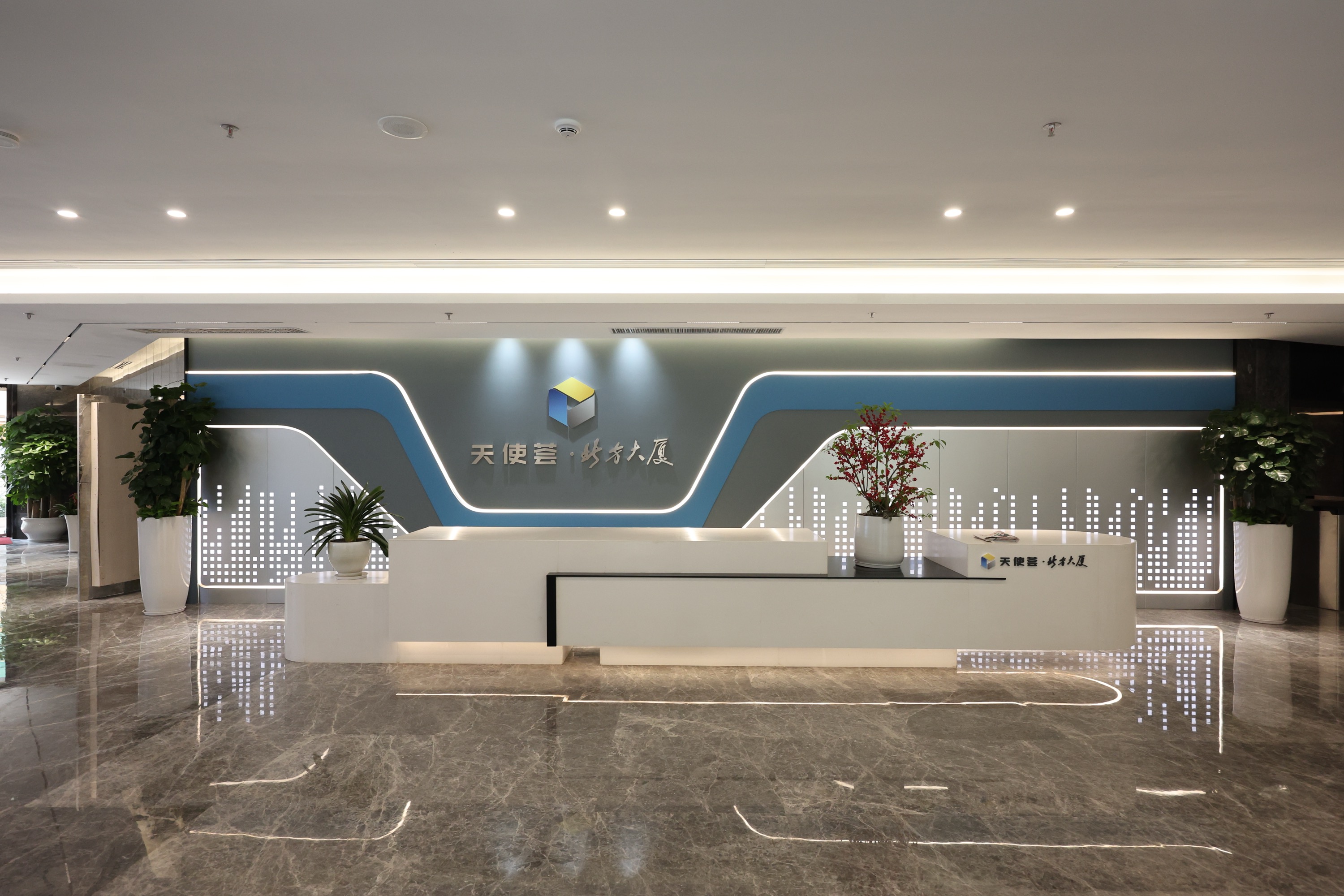 天使薈·「金種子」聯創計劃首發招募