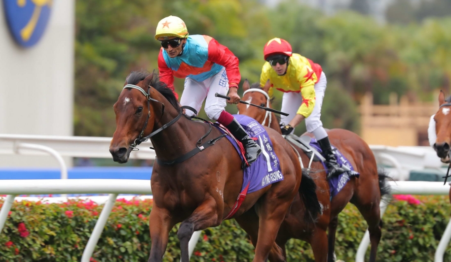 冠軍賽馬日4·27沙田馬場上演 嘉應高昇遨遊氣泡主場迎敵