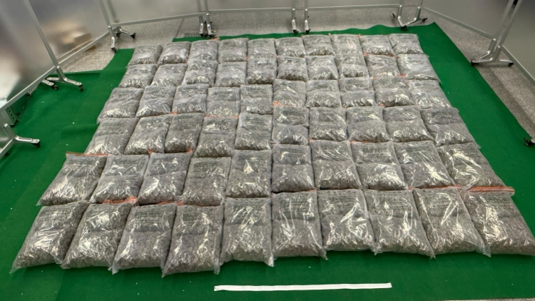 海關破獲三宗涉貨運及旅客販毒案 涉款約5840萬元