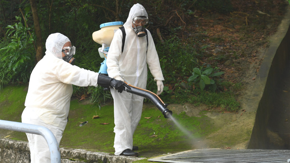 食環署：2月白紋伊蚊誘蚊器指數維持最低水平