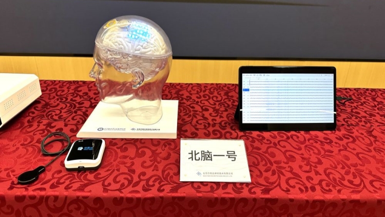 中國自研無線皮層腦機接口植入人腦通道數破世界紀錄