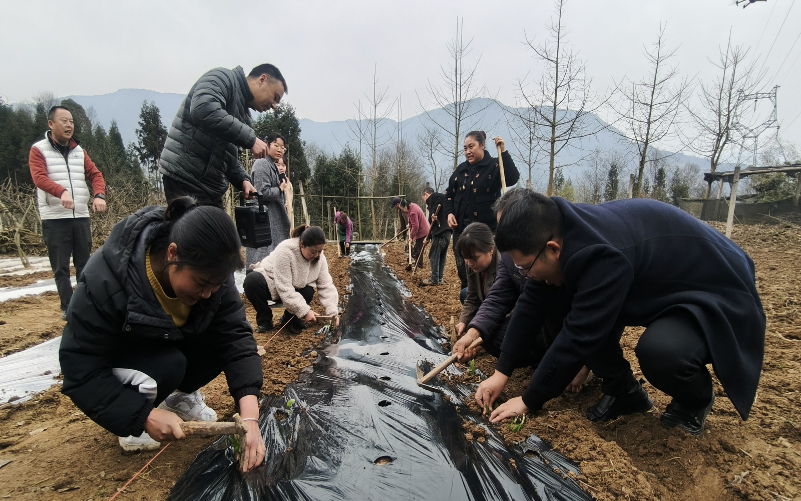 四川北川：助農科學種植促發展 共建和美鄉村新圖景