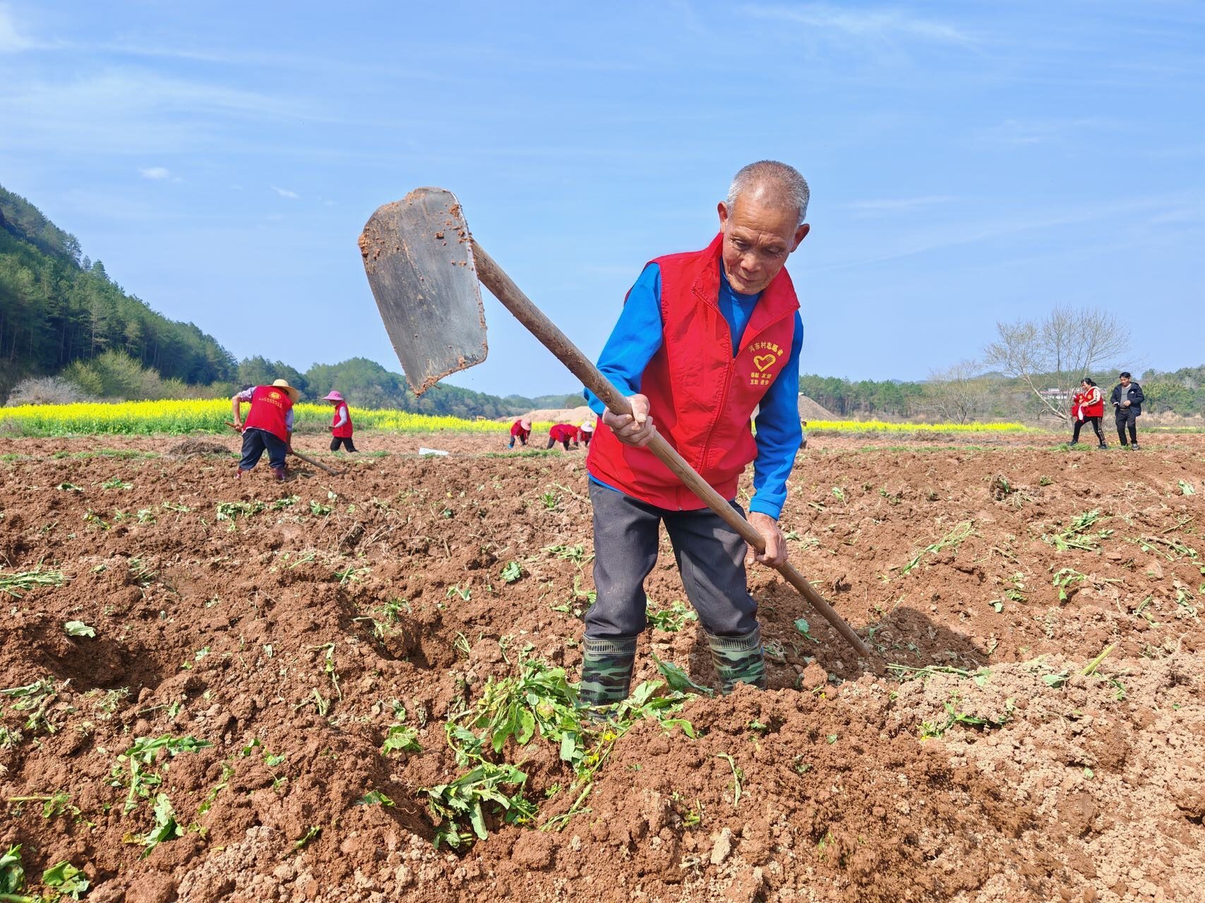 贛州石城縣屏山鎮：「紅馬甲」保駕護航 讓「荒田變良田」