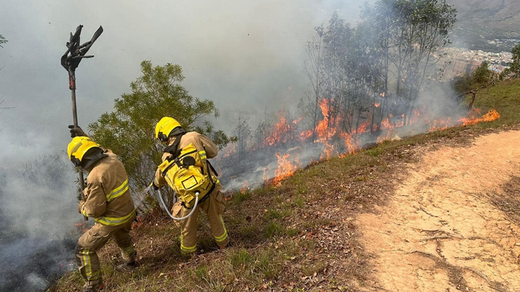 漁護署籲市民清明節掃墓謹慎處理火種 防止山火發生