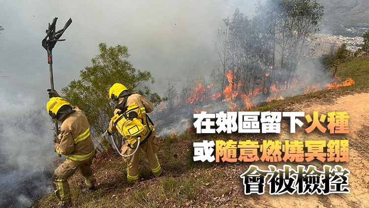 漁護署籲市民清明節掃墓謹慎處理火種 防止山火發生