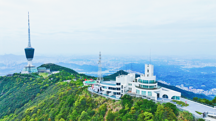 打卡深圳雲端新地標 梧桐閣官方預約小程序正式上線！