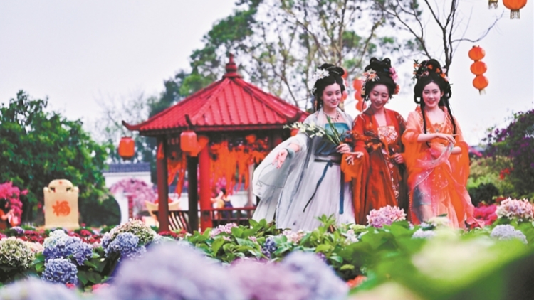 周日上東莞觀音山賞「國色天香」