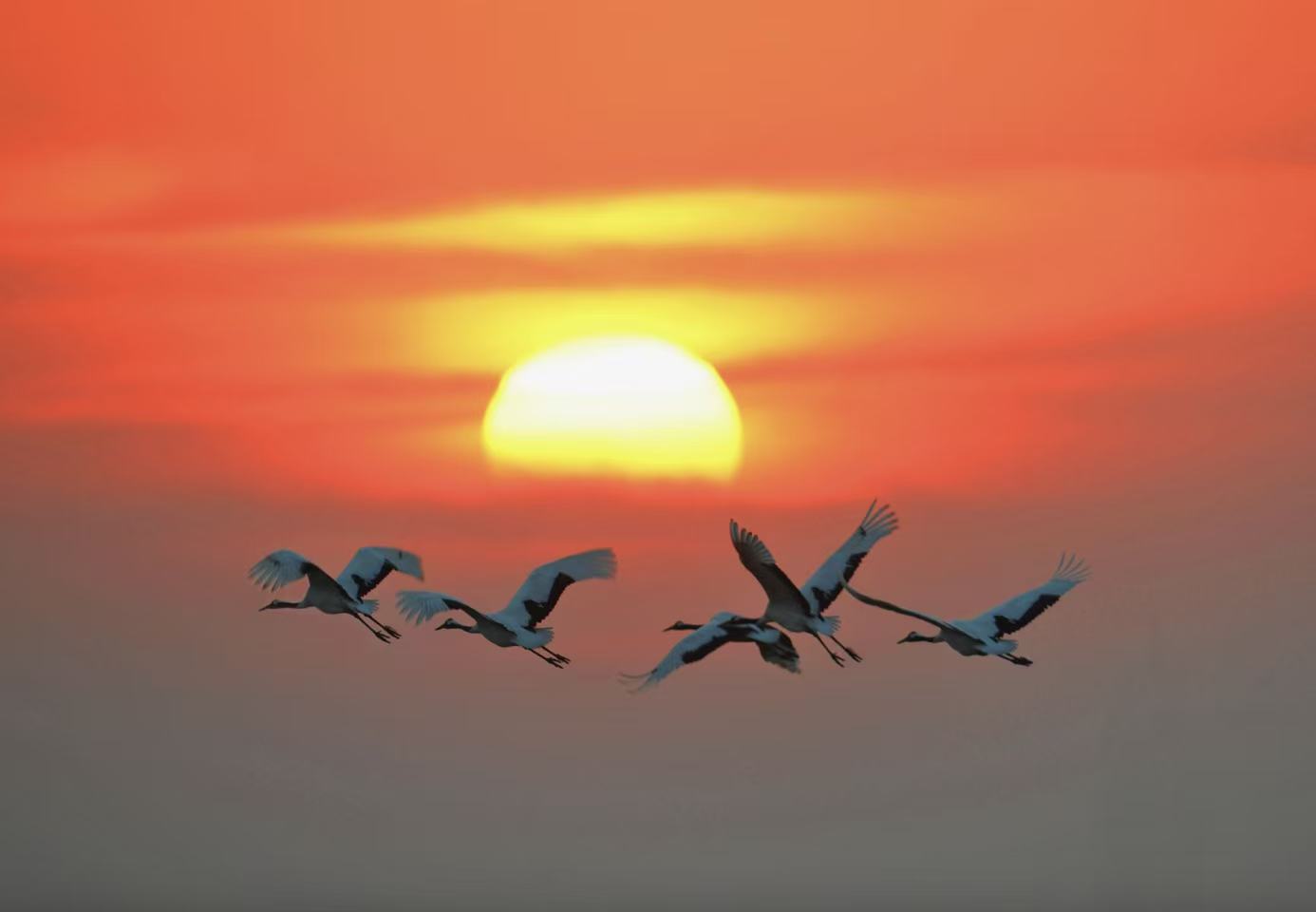 「NICE 鹽城·港韻暢行」兩地文旅聯動活動即將啟幕