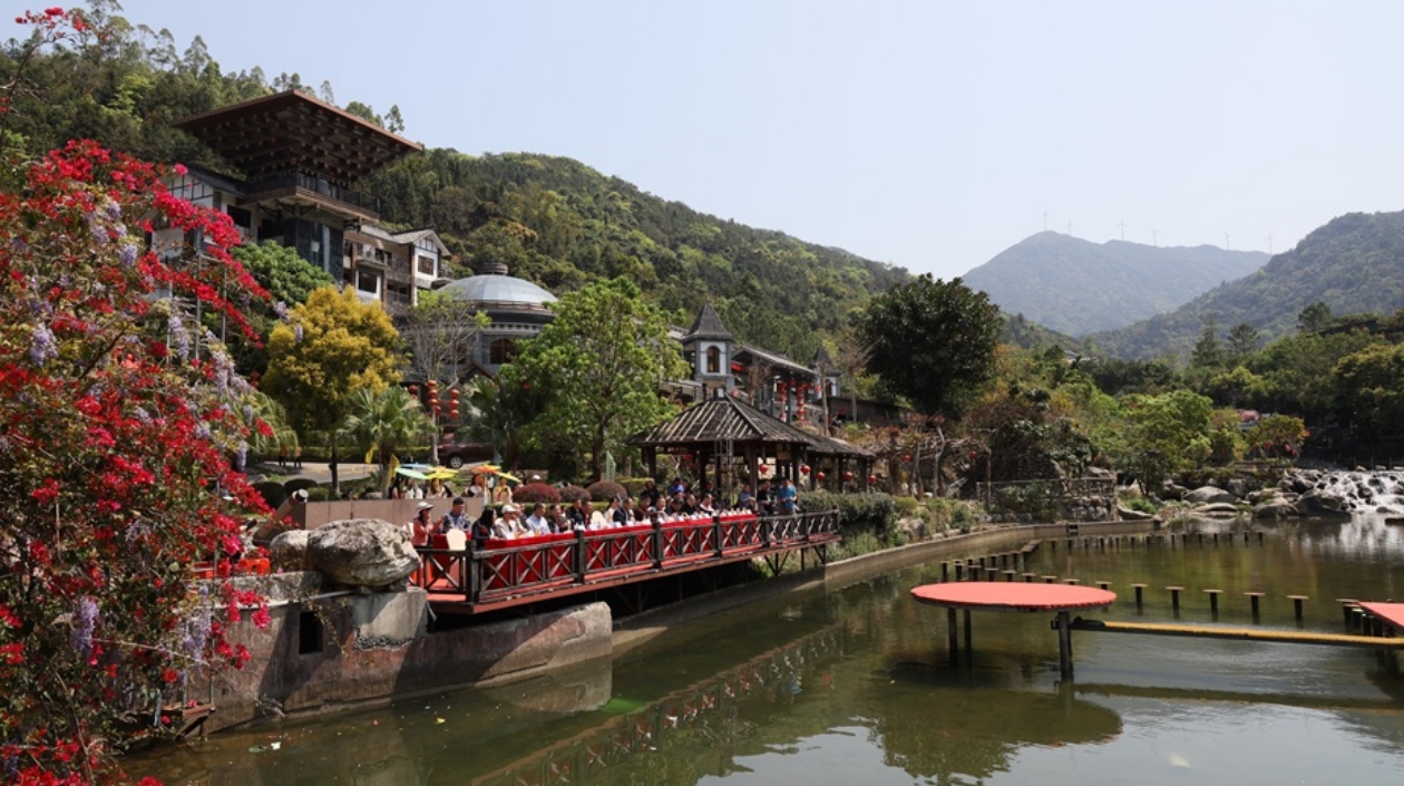 雲浮新興天露山第八屆杜鵑花節啟幕 萬畝杜鵑繪就南粵雲端仙境