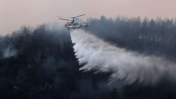 韓國東南部爆發山火 多地進入「災難狀態」