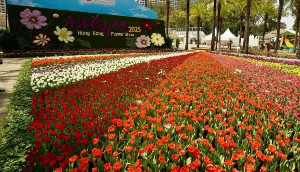 花展派花活動結束 康文署籲市民勿前往維園排隊