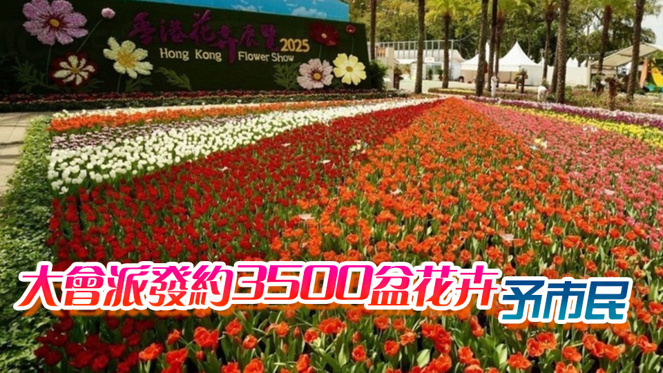 花展派花活動結束 康文署籲市民勿前往維園排隊