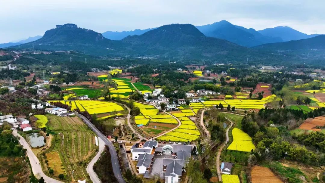 不止有李白、哪吒 四川江油「農旅融合」出鄉村「豐」景