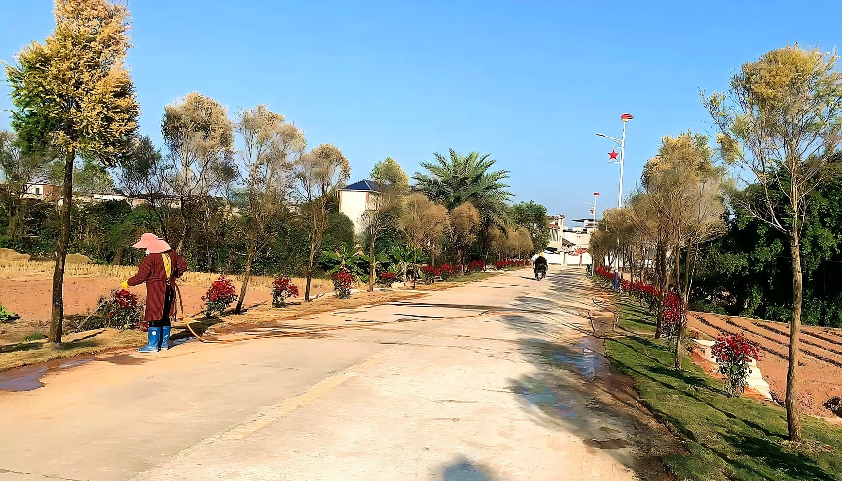 廣東南雄市「雙百行動」為「百千萬工程」充「植」 厚植生態綠底色繪就綠美新畫卷