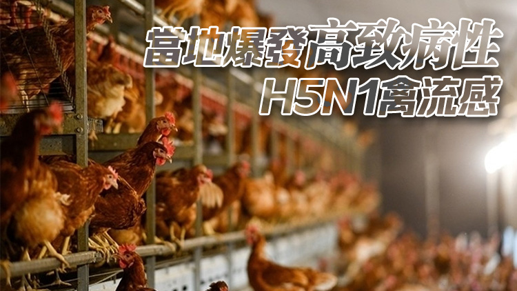 本港暫停進口加拿大安大略省Township of Enniskillen禽肉及禽類產品