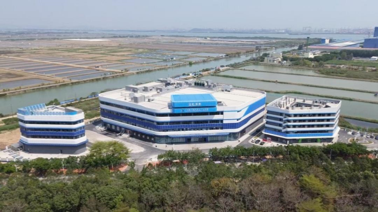 大灣區「菜籃子」魚更新鮮