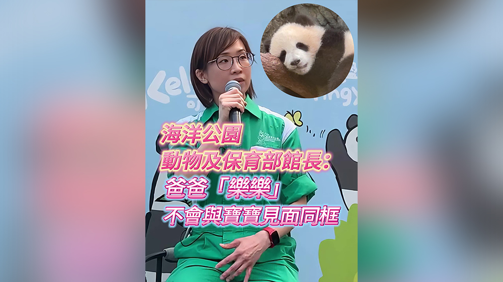 有片｜海洋公園：爸爸「樂樂」不會與寶寶見面同框