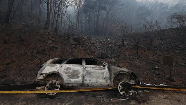 韓國慶尚道山火已致26人死亡 3.6萬公頃山林被燒毀